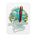 Recherche de bassin magnets Ski