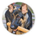 Recherche de chien brun boutons et poignées de porte Animaux