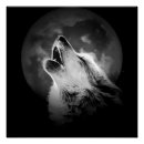 Recherche de idéal posters Pour tous