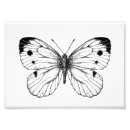 Recherche de illustration papillon posters Blanc