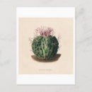 Recherche de iconographie cartes postales Iconographique