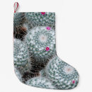 Recherche de plantes chaussette de noël Vintage