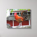 Recherche de poulet impressions sur toile Ferme