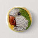 Recherche de peintures peintures badges Oiseau