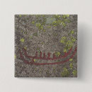 Recherche de archéologique badges Préhistorique