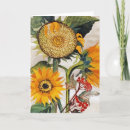 Recherche de tournesol orange Fleur sauvage