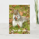 Recherche de écureuil rose vœux cartes Valentine