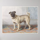 Recherche de cotelette posters Carlin