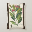 Recherche de plant coussins Nourriture