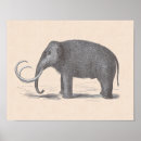 Recherche de extincteur posters Prehistoric