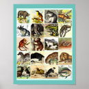 Recherche de vintages enfants posters Toute personne