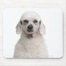Recherche de 1 photo tapis souris Blanc