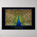 Recherche de paon fier art Fierté