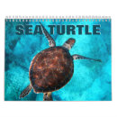 Recherche de tortue calendriers Faune