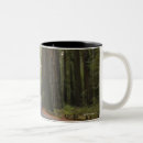 Recherche de routes tasses Forêt