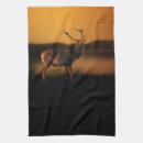 Recherche de silhouettes cuisine linges Faune