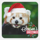 Recherche de panda noël autocollants Porter