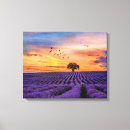 Recherche de pacifique art Nature