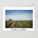Recherche de moisson cartes postales Nature