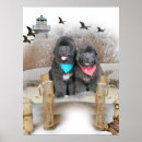 Recherche de chien terre neuve posters Chiens