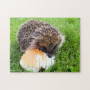 Recherche de hedgehog puzzles Mignon