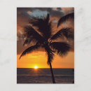 Recherche de jour férié cartes postales Arbre