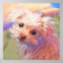 Recherche de chiots posters Dogs