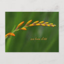 Recherche de brin cartes postales Vert