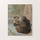 Recherche de sanglier puzzles Pour tous