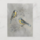 Recherche de bird cartes postales Animal
