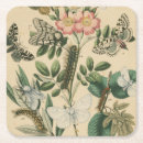 Recherche de insectes dessous de verres Chenilles