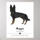 Recherche de de berger allemand art Gsd