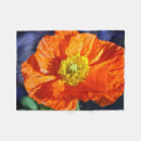 Recherche de pavot photographie Bleu