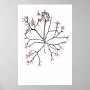 Recherche de vieux marins posters Nature