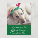 Recherche de image labrador vœux cartes Vertical