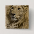 Recherche de mcdonald badges Joe