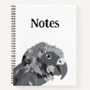 Recherche de perroquet carnets Nature