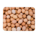 Recherche de le pérou magnets Jour