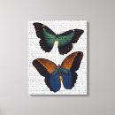 Recherche de mouche art Antiquité