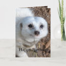 Recherche de de coton anniversaire cartes Animal