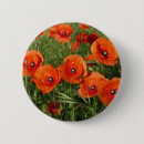Recherche de coquelicot badges Fleur