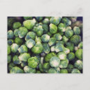 Recherche de nutrition cartes postales Photographie
