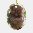 Recherche de tarsier maison deco Animal