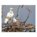 Recherche de aiguille photographie Bébé