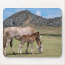 Recherche de colt tapis souris Poulain