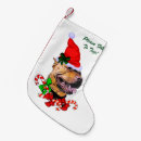 Recherche de pitbull chaussette de noël Vacances