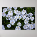 Recherche de bougies art Fleur