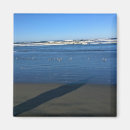 Recherche de mouettes magnets Côte