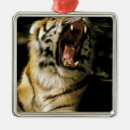 Recherche de zoo ornements Faune