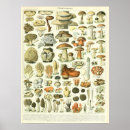 Recherche de adolphe millot posters Vintage